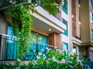 City Garden Tropicana в Паттайе