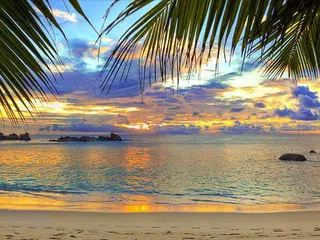 City Garden Pratumnak в Паттайе