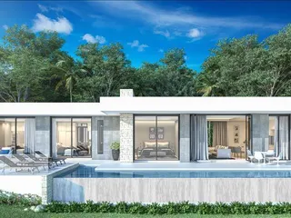 The T Forest в Паклоке