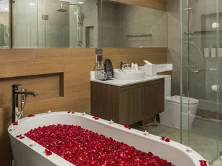 The Proud Karon в Кароне