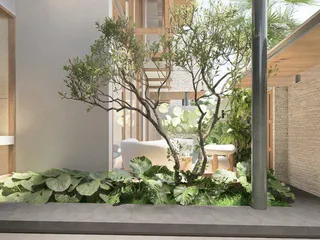 Silva в Банг Тао