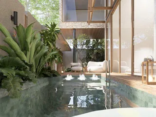 Silva в Банг Тао